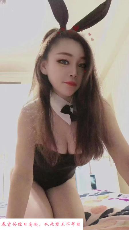 宝安大波小肥猫老师 第1张