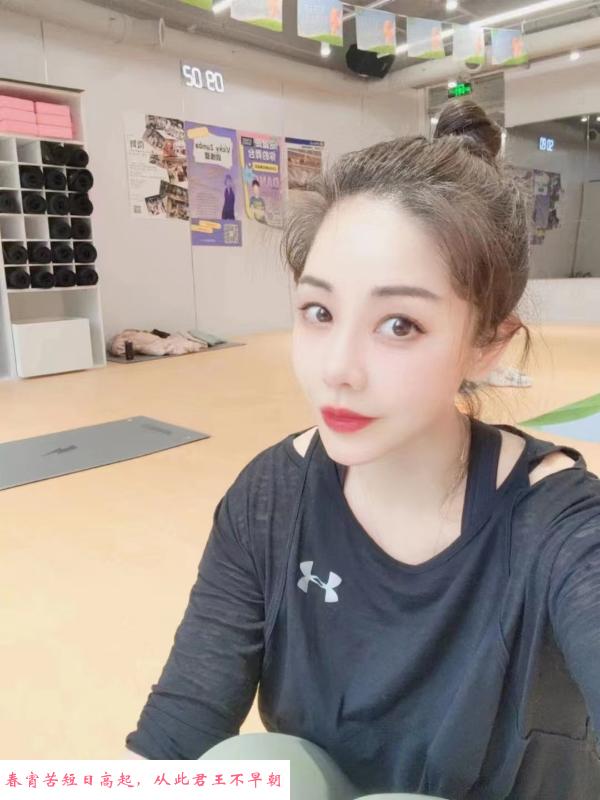 波斯猫好服务 第1张