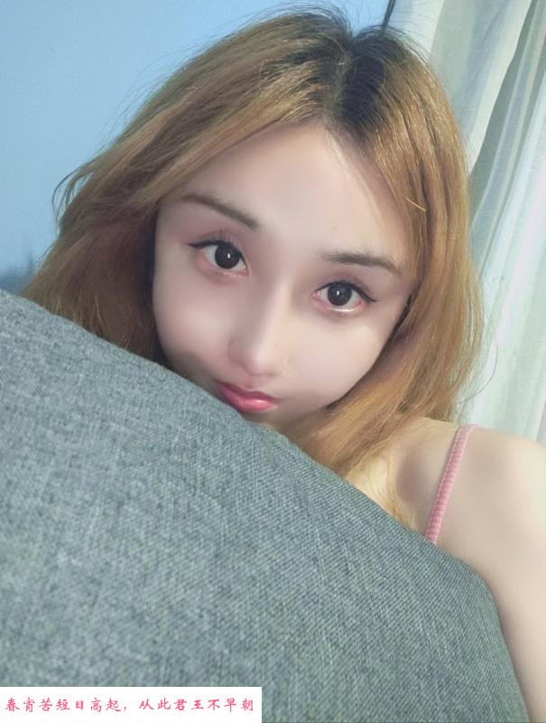 重庆小不点 第1张