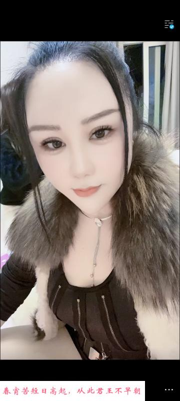 普陀区KB小苹果 第1张