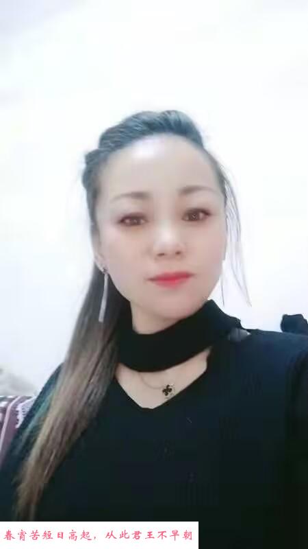 金州小白鸽 第1张