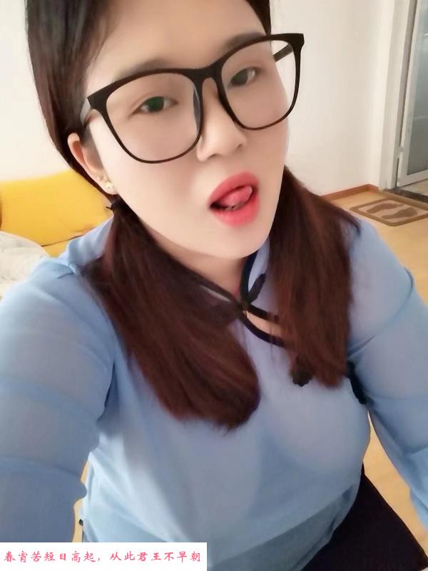 北城小浪浪 第1张