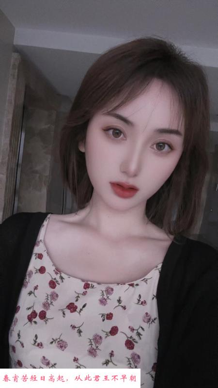 政务小团子 第3张