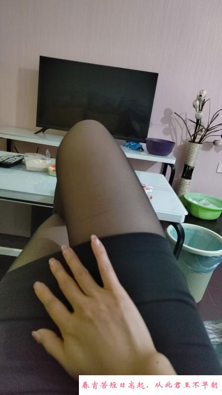 红桥秘书姚姚 第1张