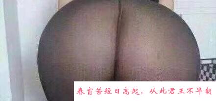 肥臀熟女骚随便干 第2张