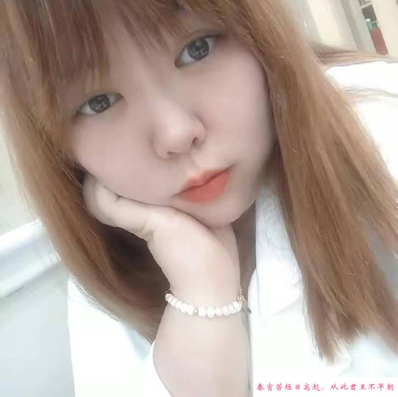 沈阳坦克 第1张