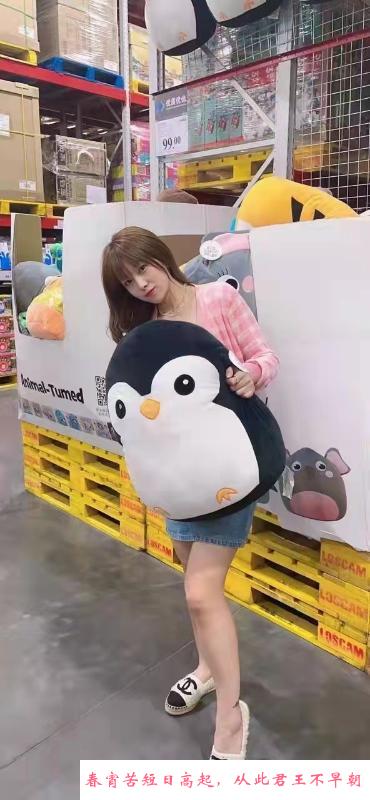 秦淮区美女 第3张