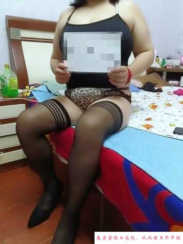 铁西丰满熟女 第1张