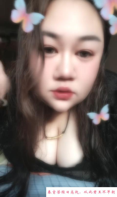 哈尔滨大胸坦克 第1张