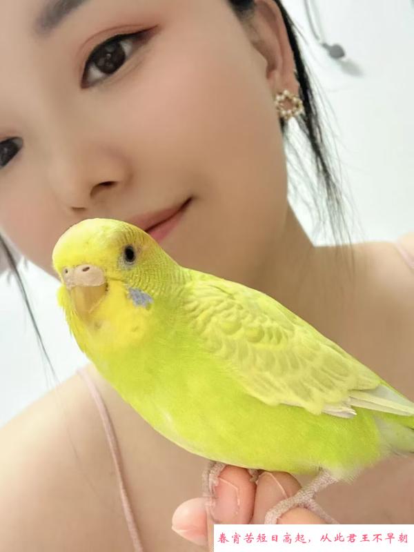 半套美女 第1张