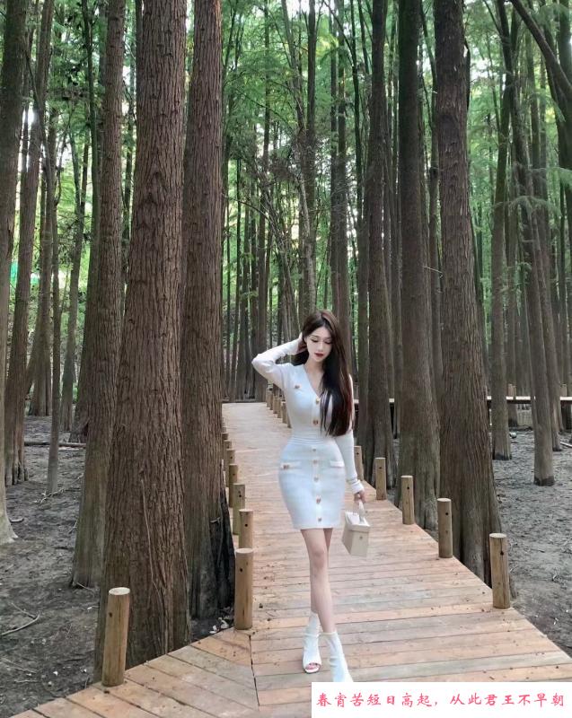 车模彤彤 第1张