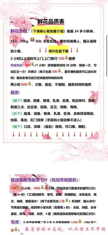 沈阳m小母狗 第3张