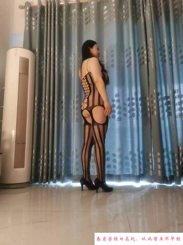 白云小奶牛 第1张