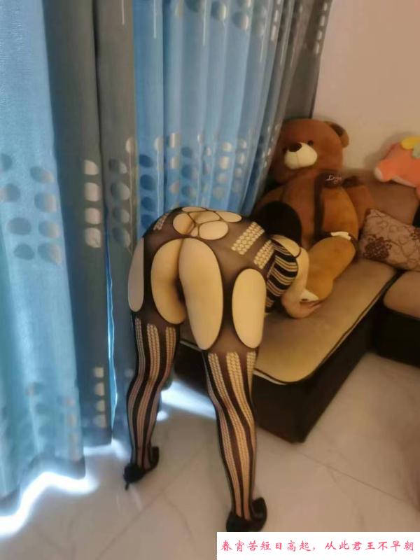 白云小奶牛 第3张