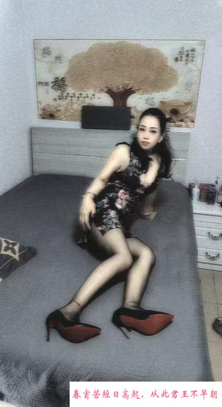 天津便宜少妇 第1张