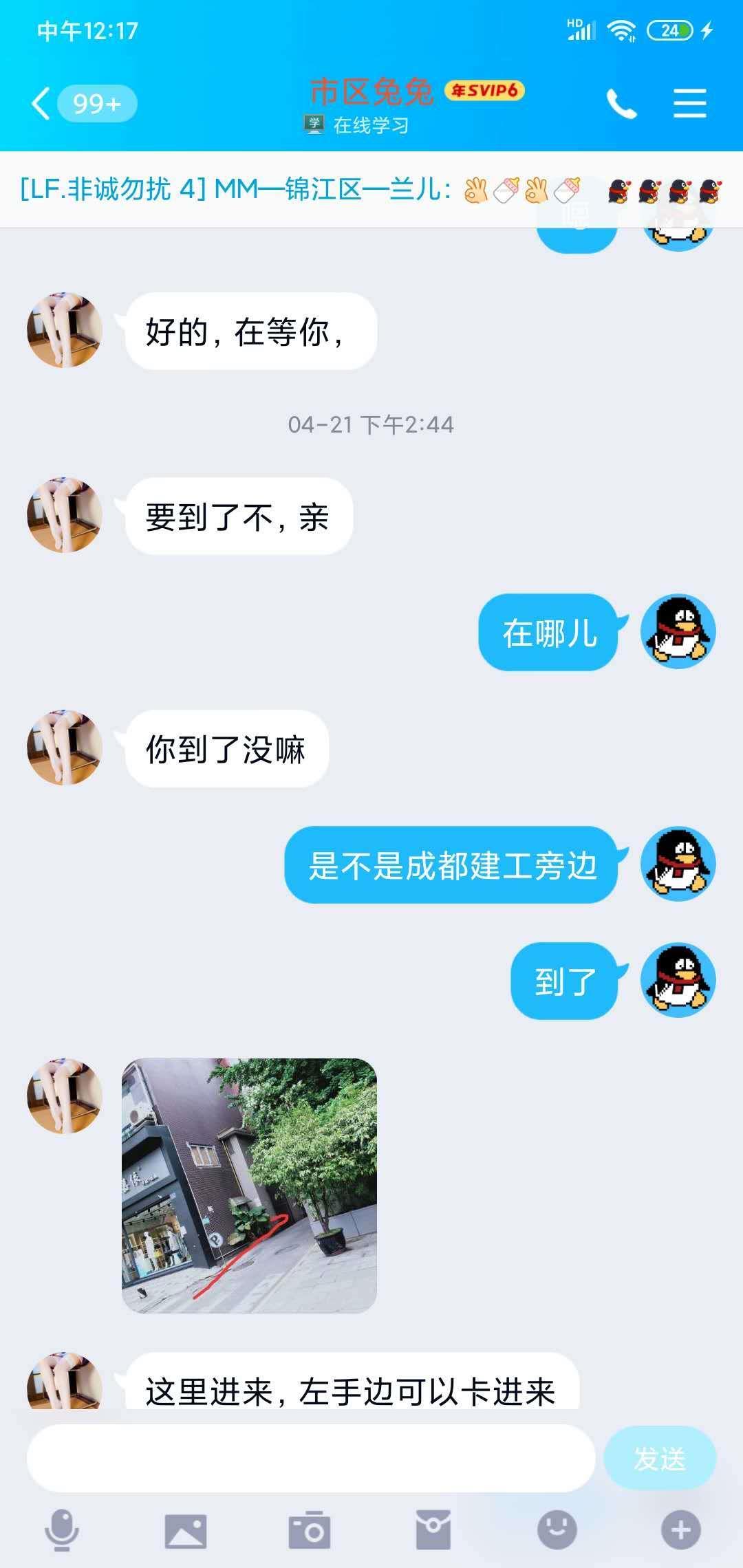 市中心兔兔 第2张