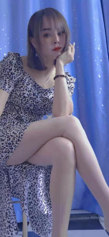宝安小猫咪 第2张